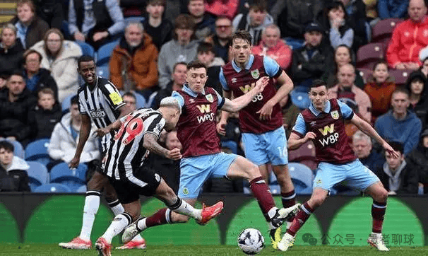 不仅是展示 不仅是展示