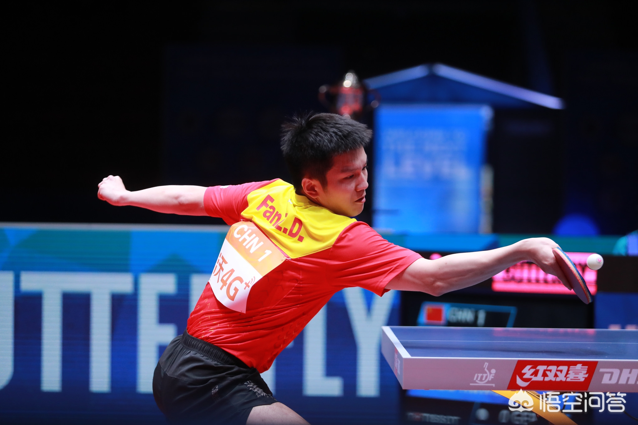 一位职业球 一位职业球